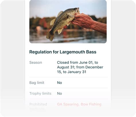 minnesota fishing license|Minnesota Fishing License: Costs & Requirements Explained.